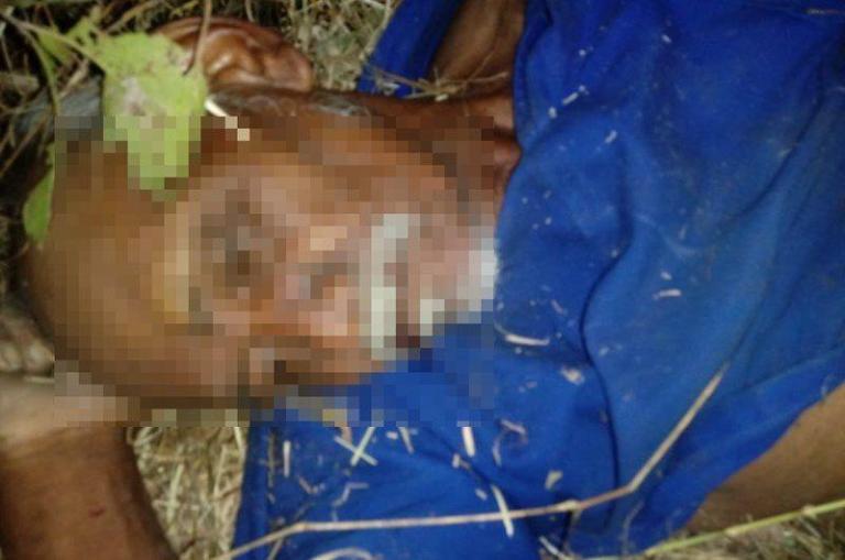 Colisão entre veículo de tração animal e veículo mata idoso na BR-361