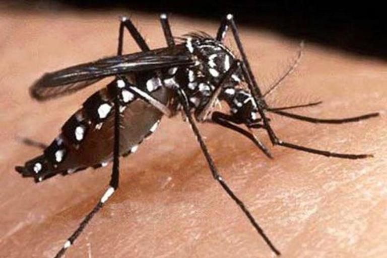 Paraíba registra aumento no número de casos prováveis de de dengue, chikungunya e zika